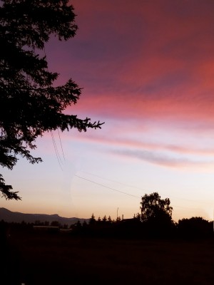 фото9.jpg