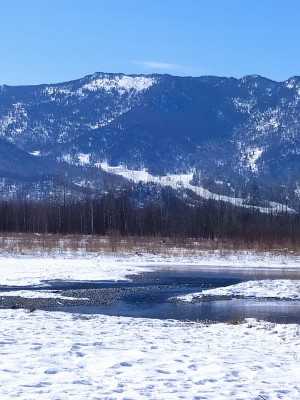 Катунь1.jpg