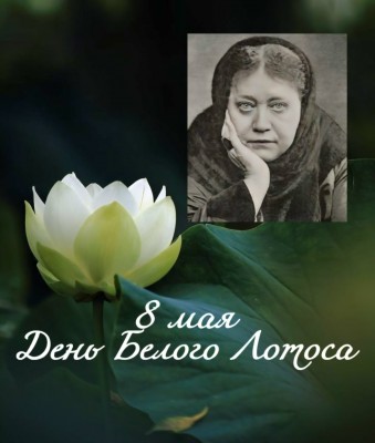 Белый Лотос.jpg