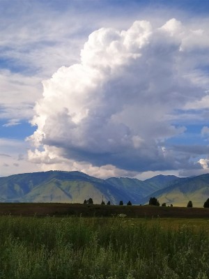 фото6.jpg