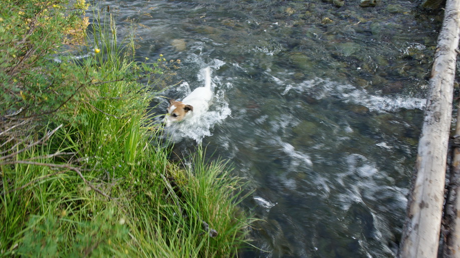 DSC03964.JPG